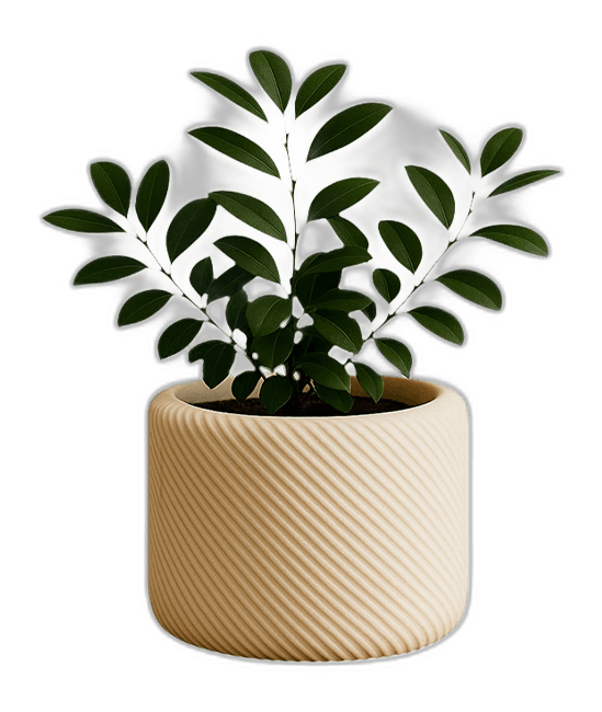 Minimal Çizgili Dekoratif Saksı