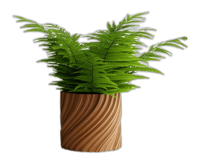 Natura Modern Dekoratif Saksı