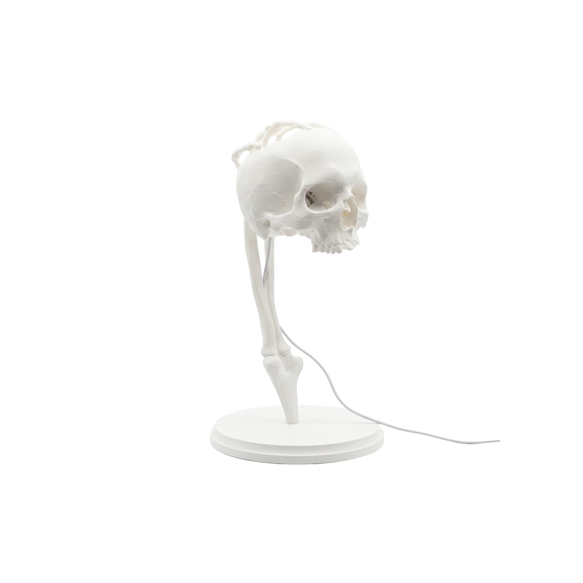 Fibrika Store AuraLight: Anatomik Tasarım Sanatsal Gece Lambası